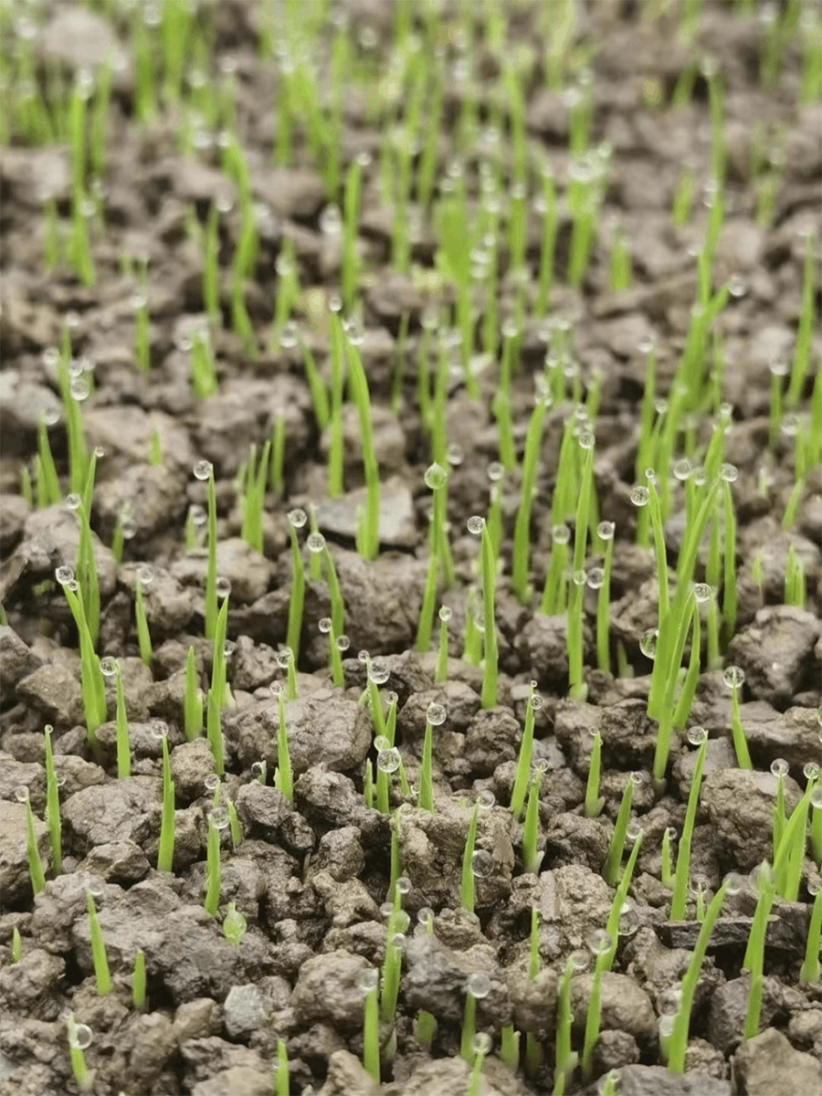 1688691724999170.jpg 微信圖片_20230706165544.jpg