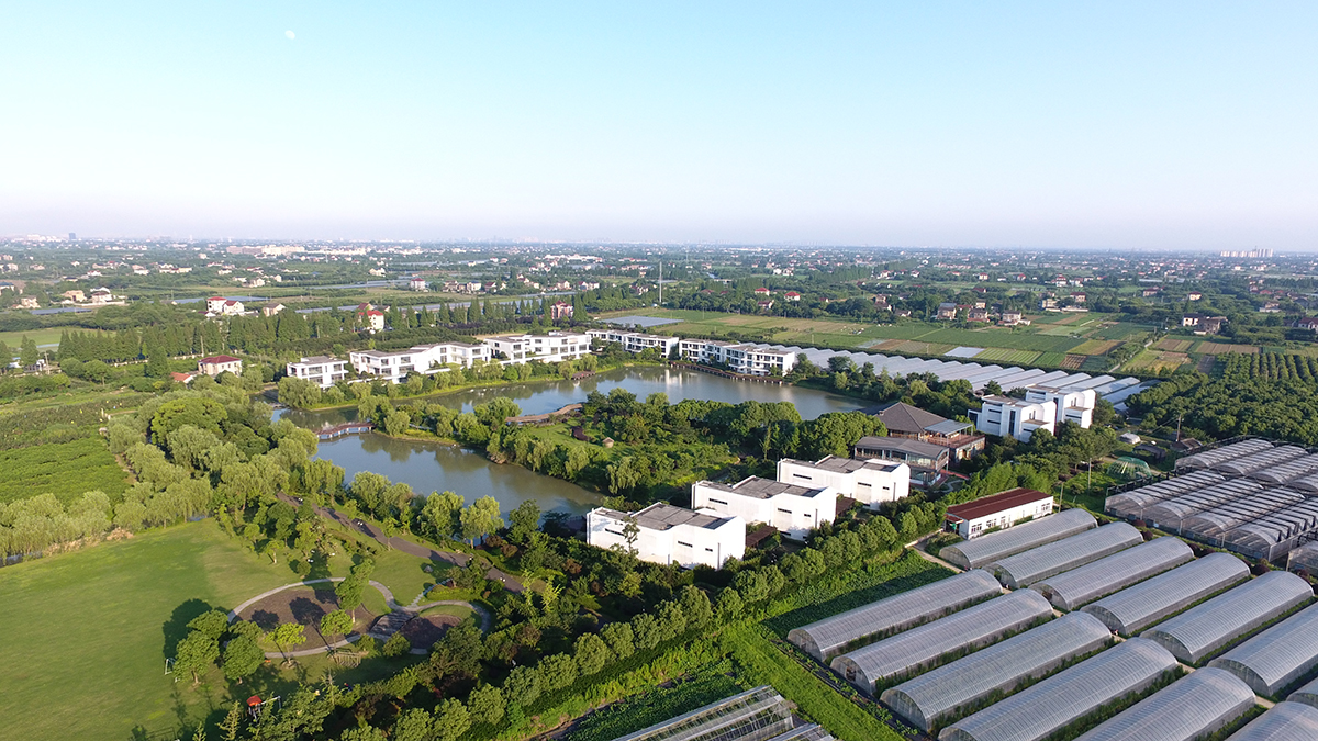 1689152160725802.jpg DJI_0079 (2).JPG