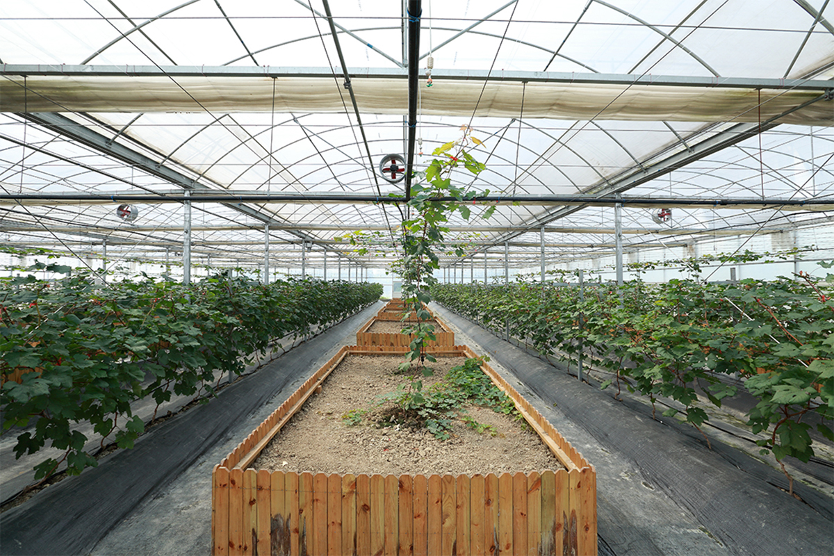 1689152208680118.jpg dea3c67d3de12110d74d119893161a02.jpg