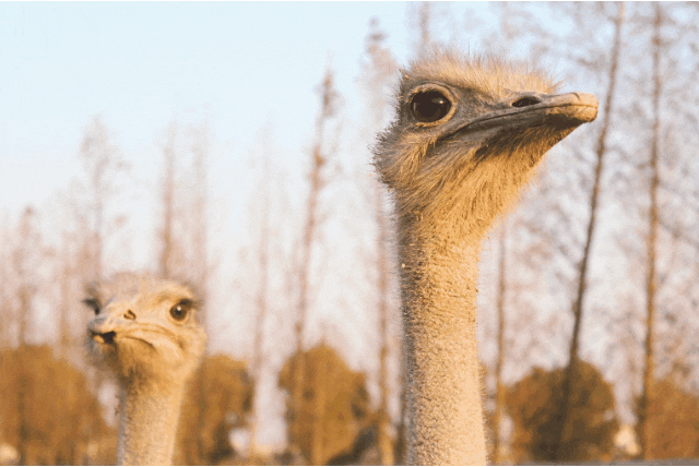 1711608206997571.gif 640.gif