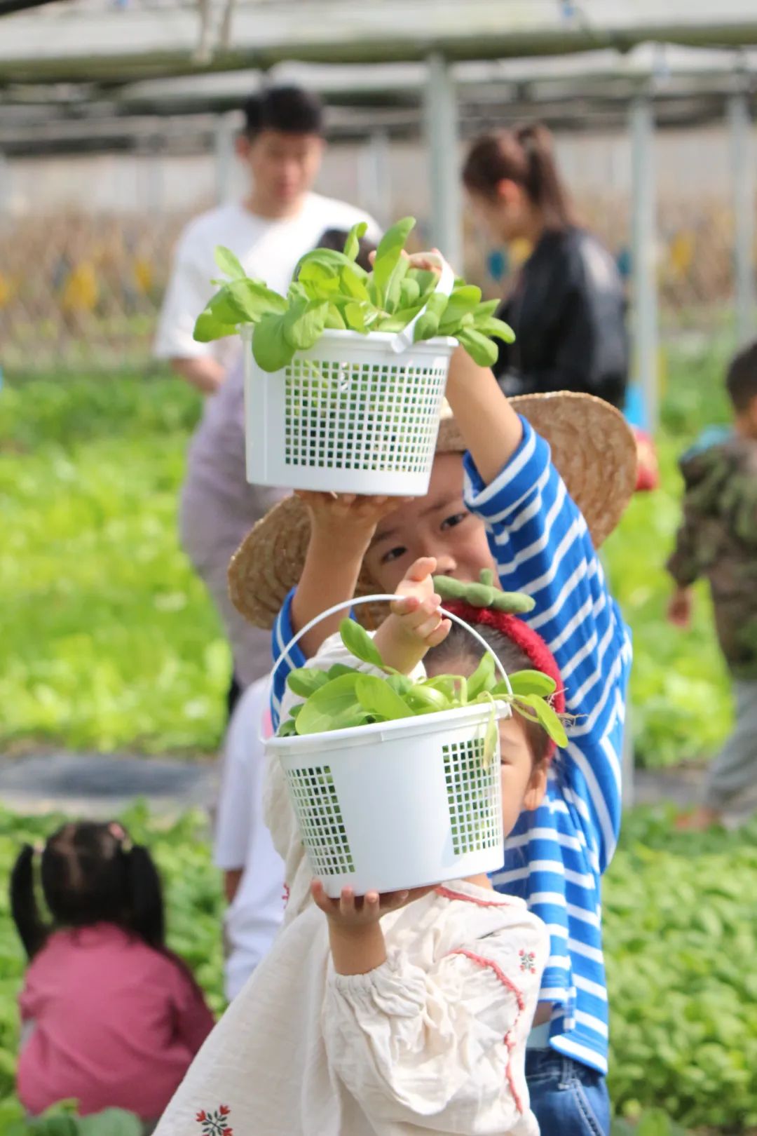 1712565031695144.jpg 640 (9).jpg